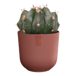 jazz round mini 11cm rojo toscana